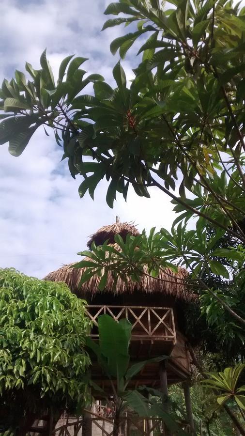 Posadas Ecoturisticas Seineken Zaino Exterior foto