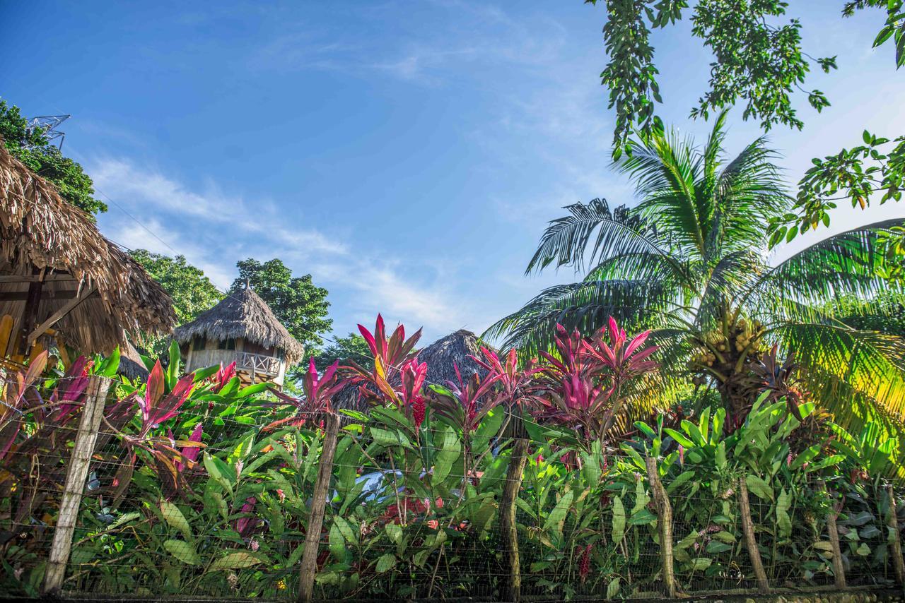 Posadas Ecoturisticas Seineken Zaino Exterior foto